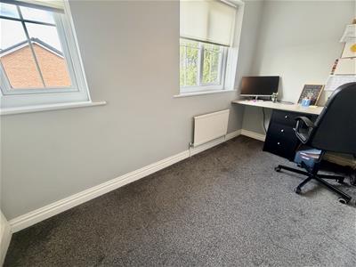 Picture 25